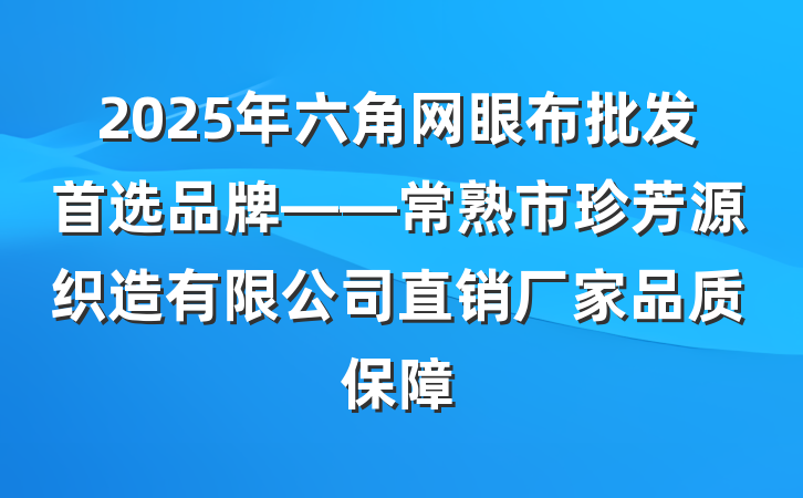 2025年六角网眼布批发首选品牌——常熟市珍芳源织造有限公司直销厂家品质保障
