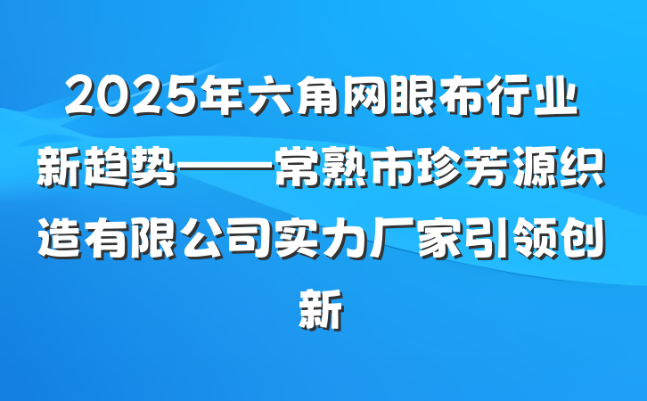 2025年六角网眼布行业新趋势——常熟市珍芳源织造有限公司实力厂家引领创新