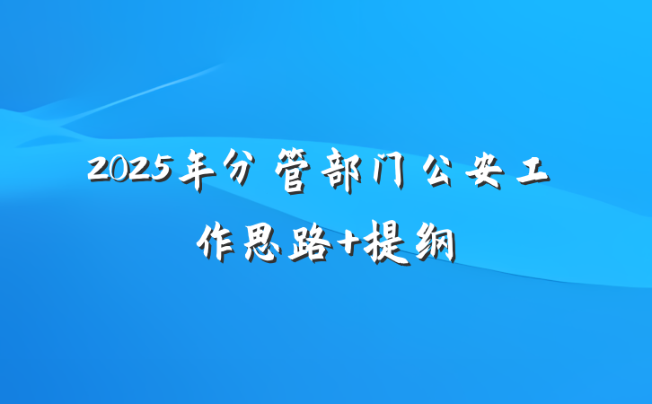 2025年分管部门公安工作思路 提纲