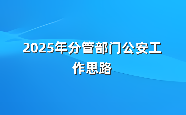 2025年分管部门公安工作思路