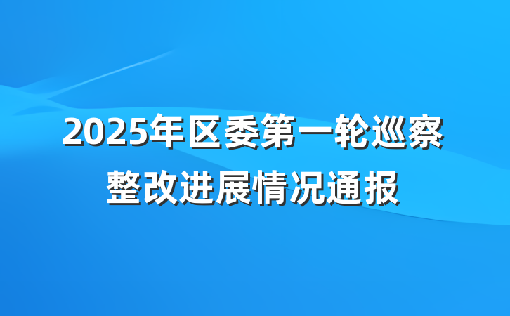 2025年区委第一轮巡察整改进展情况通报