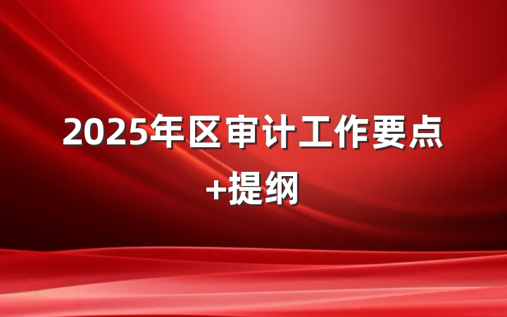 2025年区审计工作要点 提纲