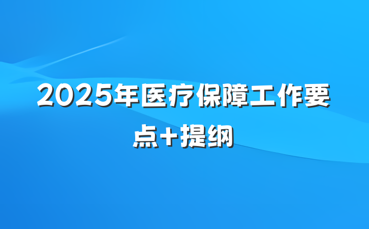 2025年医疗保障工作要点 提纲