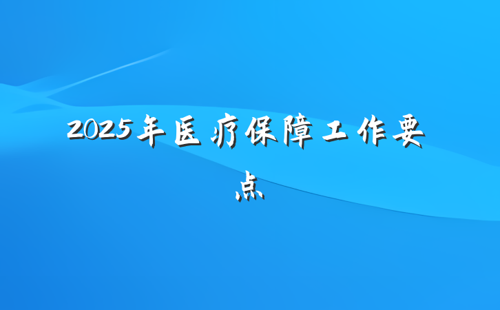 2025年医疗保障工作要点