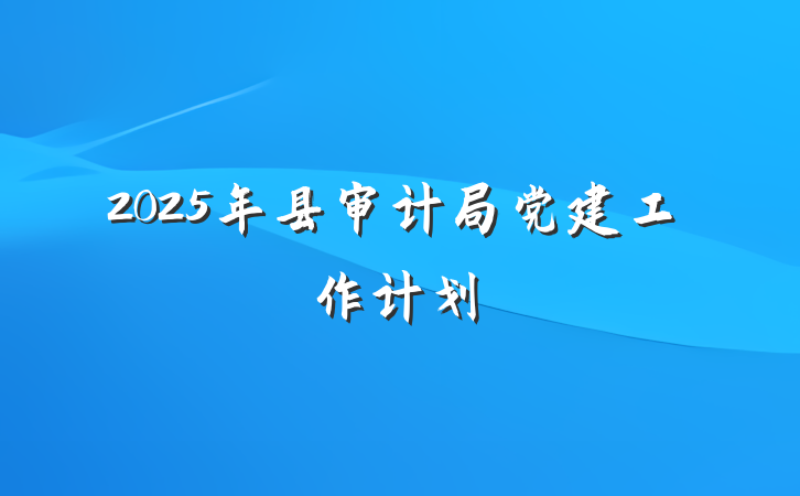 2025年县审计局党建工作计划