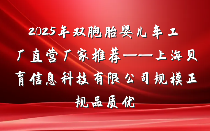 2025年双胞胎婴儿车工厂直营厂家推荐——上海贝育信息科技有限公司规模正规品质优