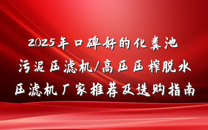 2025年口碑好的化粪池污泥压滤机/高压压榨脱水压滤机厂家推荐及选购指南