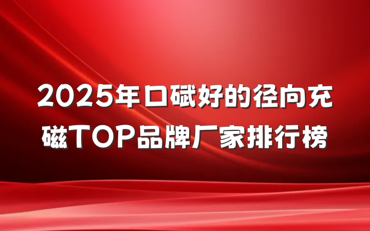 2025年口碑好的径向充磁TOP品牌厂家排行榜