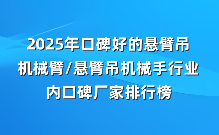 2025年口碑好的悬臂吊机械臂/悬臂吊机械手行业内口碑厂家排行榜