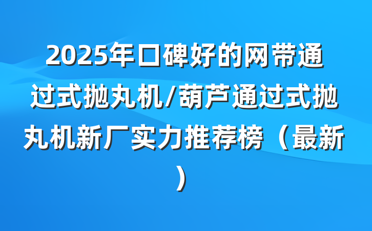 2025年口碑好的网带通过式抛丸机/葫芦通过式抛丸机新厂实力推荐榜(最新)