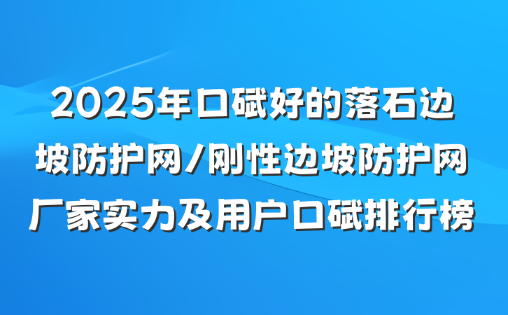 2025年口碑好的落石边坡防护网/刚性边坡防护网厂家实力及用户口碑排行榜
