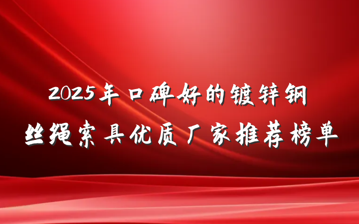 2025年口碑好的镀锌钢丝绳索具优质厂家推荐榜单
