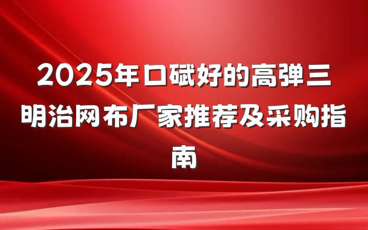 2025年口碑好的高弹三明治网布厂家推荐及采购指南