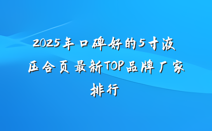 2025年口碑好的5寸液压合页最新TOP品牌厂家排行