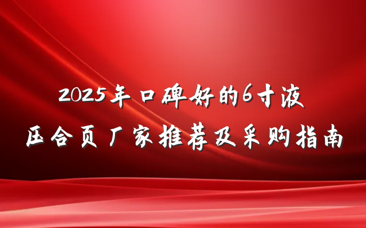 2025年口碑好的6寸液压合页厂家推荐及采购指南