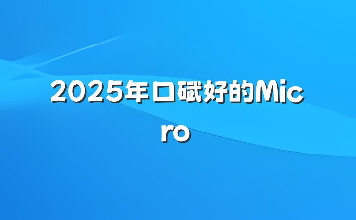 2025年口碑好的Micro