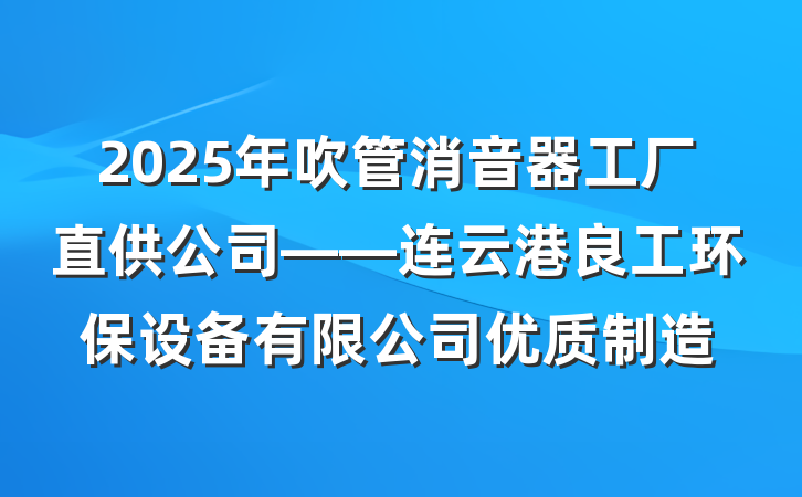 2025年吹管消音器工厂直供公司——连云港良工环保设备有限公司优质制造