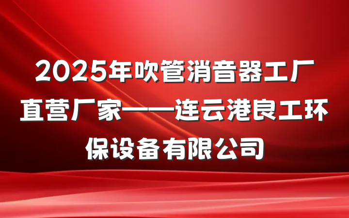 2025年吹管消音器工厂直营厂家——连云港良工环保设备有限公司