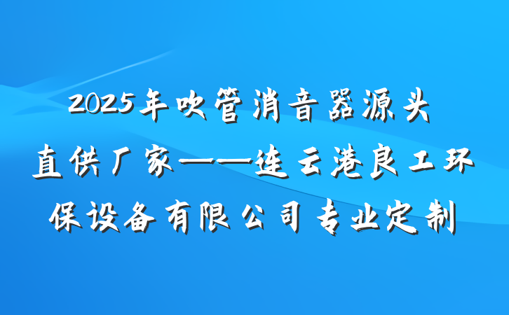 2025年吹管消音器源头直供厂家——连云港良工环保设备有限公司专业定制