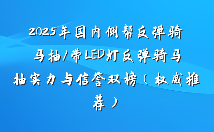 2025年国内侧帮反弹骑马抽/带LED灯反弹骑马抽实力与信誉双榜（权威推荐）