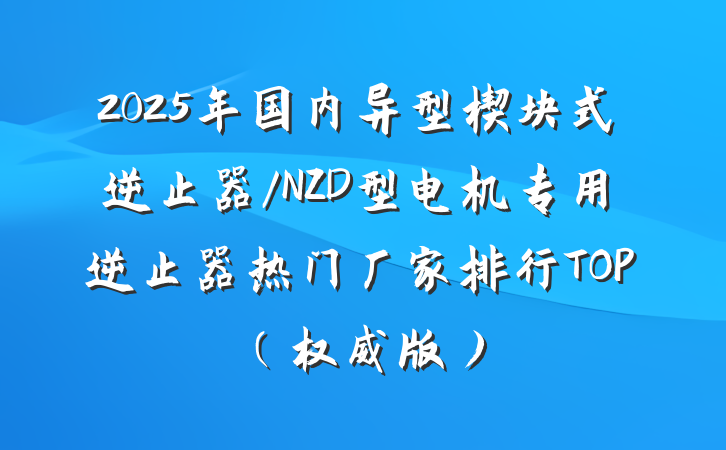 2025年国内异型楔块式逆止器/NZD型电机专用逆止器热门厂家排行TOP（权威版）