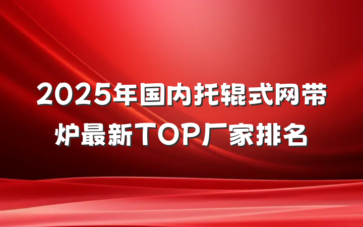 2025年国内托辊式网带炉最新TOP厂家排名