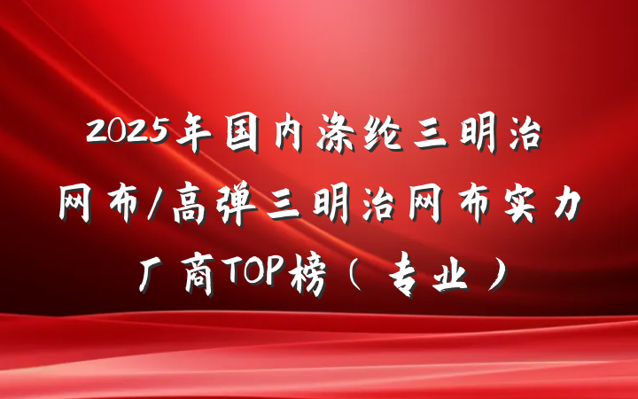 2025年国内涤纶三明治网布/高弹三明治网布实力厂商TOP榜(专业)