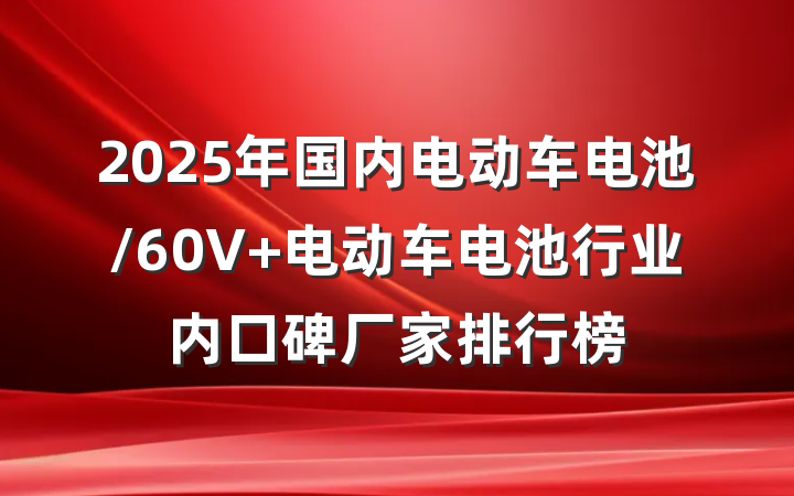2025年国内电动车电池/60V 电动车电池行业内口碑厂家排行榜