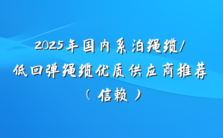 2025年国内系泊绳缆/低回弹绳缆优质供应商推荐（信赖）