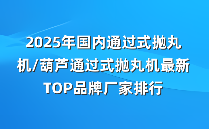 2025年国内通过式抛丸机/葫芦通过式抛丸机最新TOP品牌厂家排行