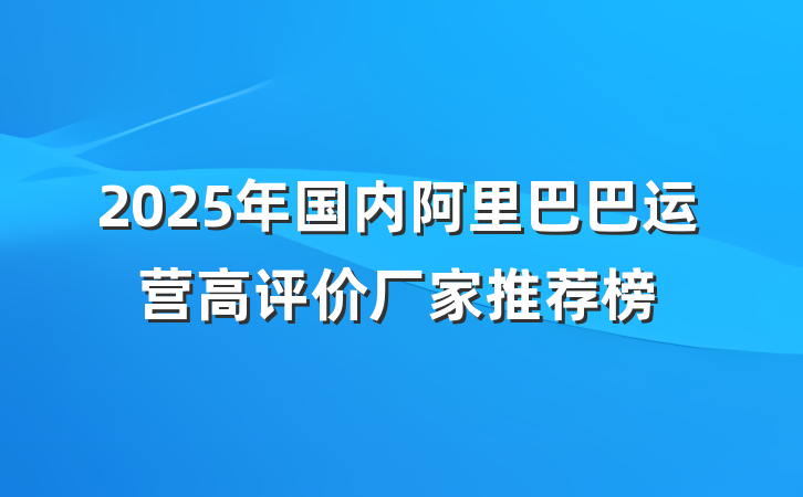 2025年国内阿里巴巴运营高评价厂家推荐榜