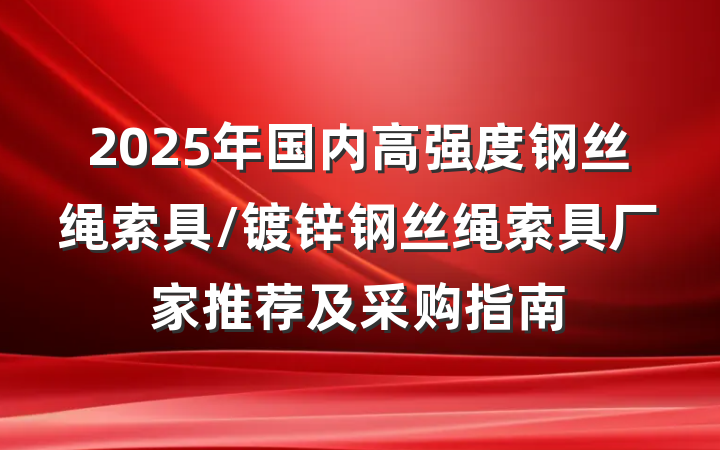 2025年国内高强度钢丝绳索具/镀锌钢丝绳索具厂家推荐及采购指南