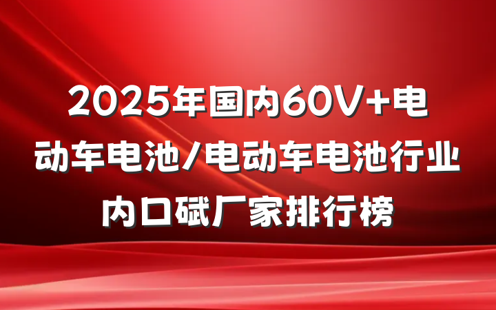 2025年国内60V 电动车电池/电动车电池行业内口碑厂家排行榜