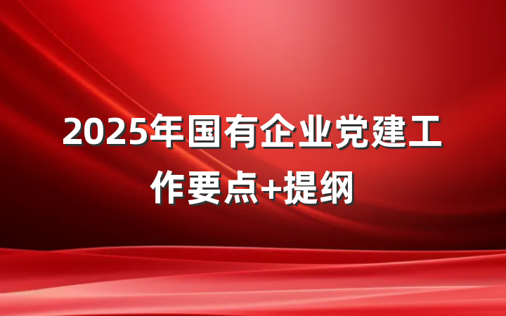 2025年国有企业党建工作要点 提纲
