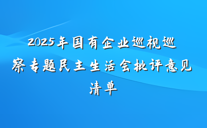 2025年国有企业巡视巡察专题民主生活会批评意见清单