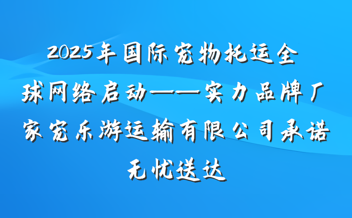 2025年国际宠物托运全球网络启动——实力品牌厂家宠乐游运输有限公司承诺无忧送达