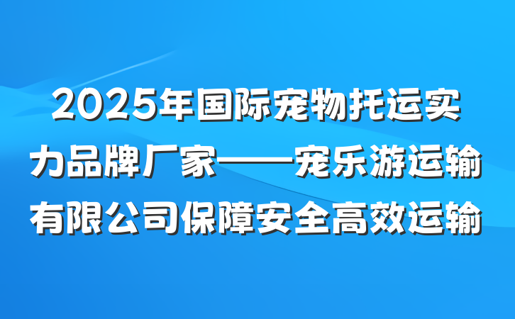 2025年国际宠物托运实力品牌厂家——宠乐游运输有限公司保障安全高效运输