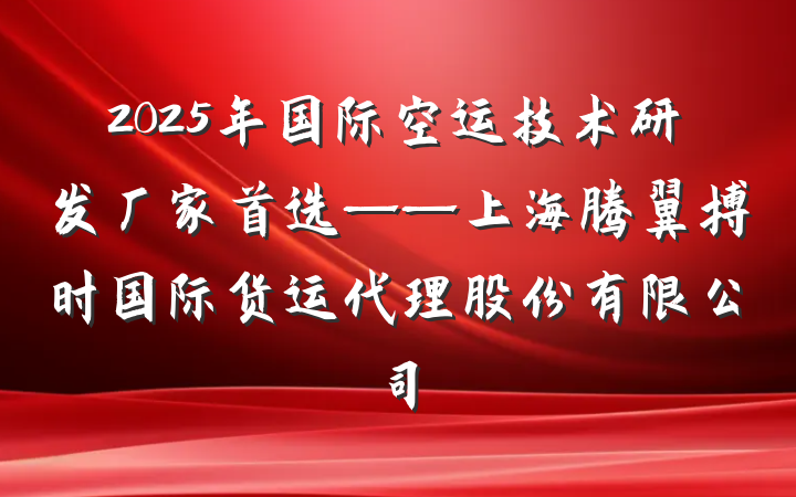 2025年国际空运技术研发厂家首选——上海腾翼搏时国际货运代理股份有限公司