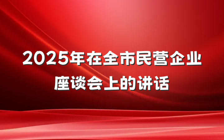 2025年在全市民营企业座谈会上的讲话