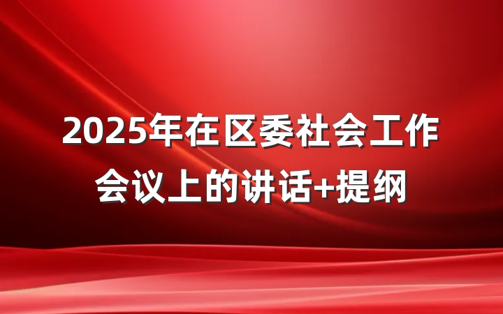 2025年在区委社会工作会议上的讲话 提纲