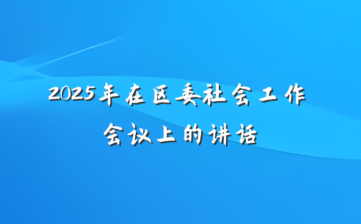 2025年在区委社会工作会议上的讲话