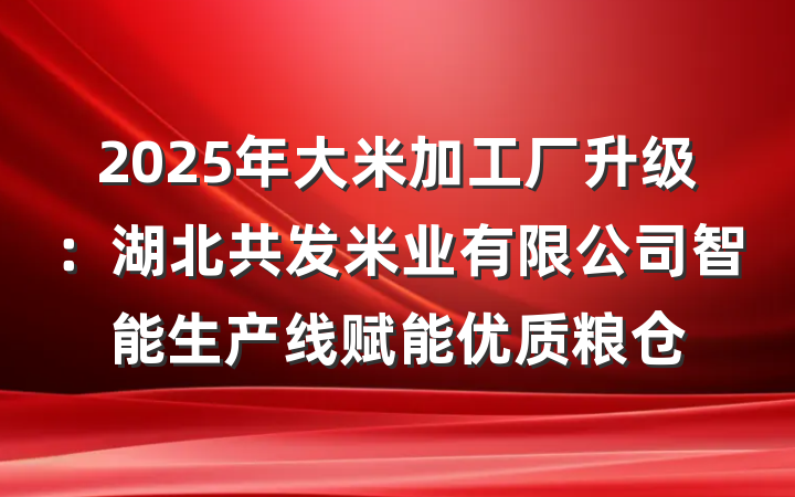 2025年大米加工厂升级：湖北共发米业有限公司智能生产线赋能优质粮仓
