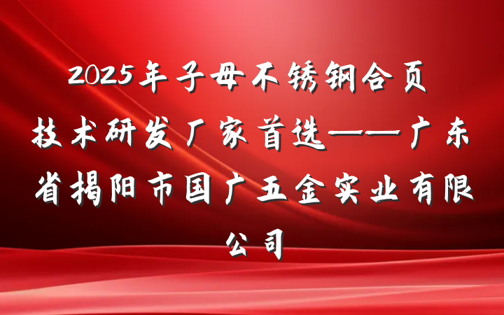 2025年子母不锈钢合页技术研发厂家首选——广东省揭阳市国广五金实业有限公司