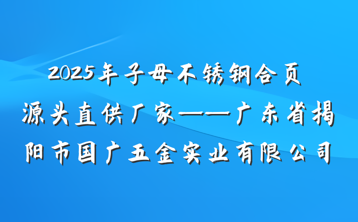 2025年子母不锈钢合页源头直供厂家——广东省揭阳市国广五金实业有限公司