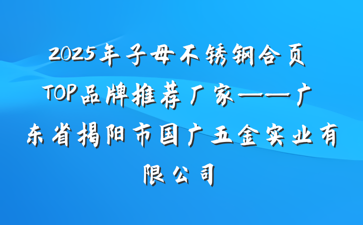 2025年子母不锈钢合页TOP品牌推荐厂家——广东省揭阳市国广五金实业有限公司