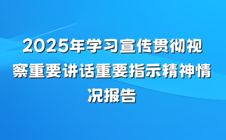 2025年学习宣传贯彻视察重要讲话重要指示精神情况报告
