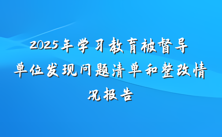 2025年学习教育被督导单位发现问题清单和整改情况报告