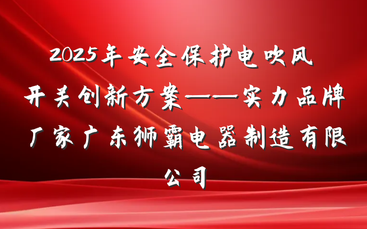 2025年安全保护电吹风开关创新方案——实力品牌厂家广东狮霸电器制造有限公司