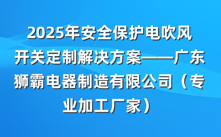 2025年安全保护电吹风开关定制解决方案——广东狮霸电器制造有限公司（专业加工厂家）