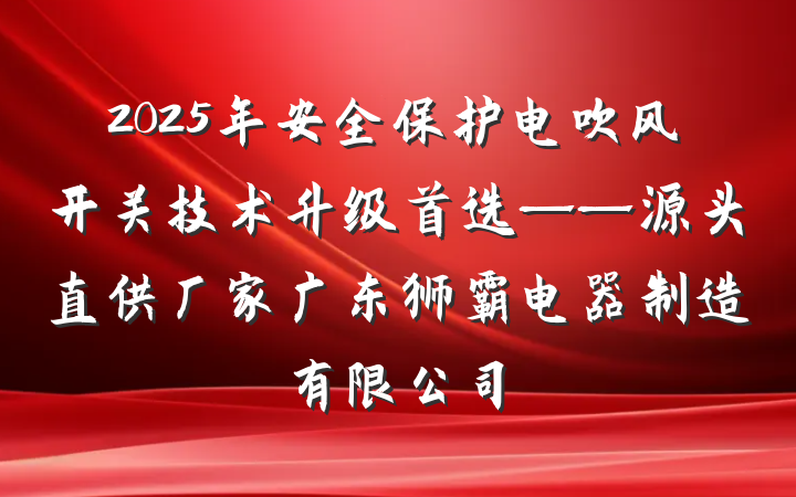 2025年安全保护电吹风开关技术升级首选——源头直供厂家广东狮霸电器制造有限公司